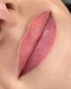 PMU. Category: “LIPSTICK EFFECT”. Div3 