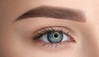 PMU. Category: “EYEBROW SHADING”.Div1 