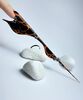From Complex to Creative: Innovative Nail Shape. FT
